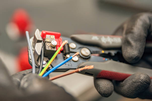 Best Electric Panel Repair  in Lake Caroline, VA